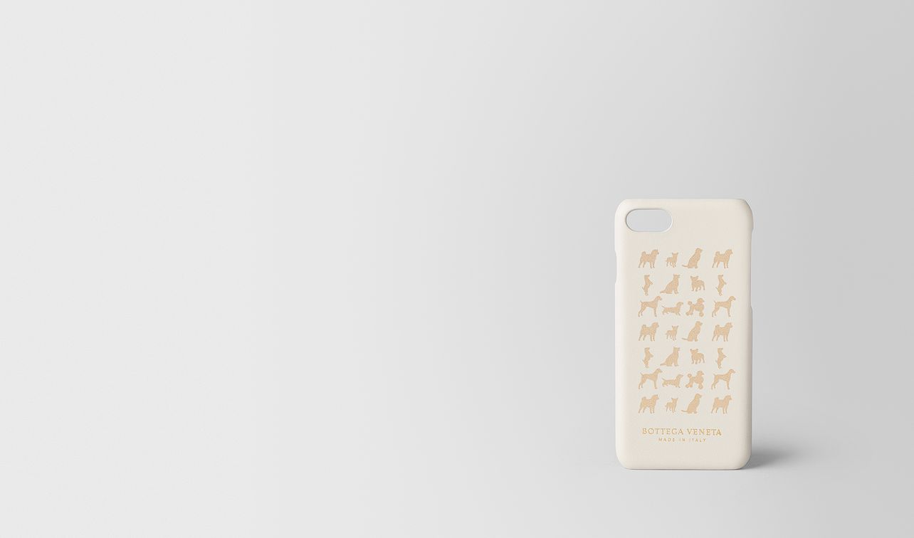 mist iphone 7 case landing