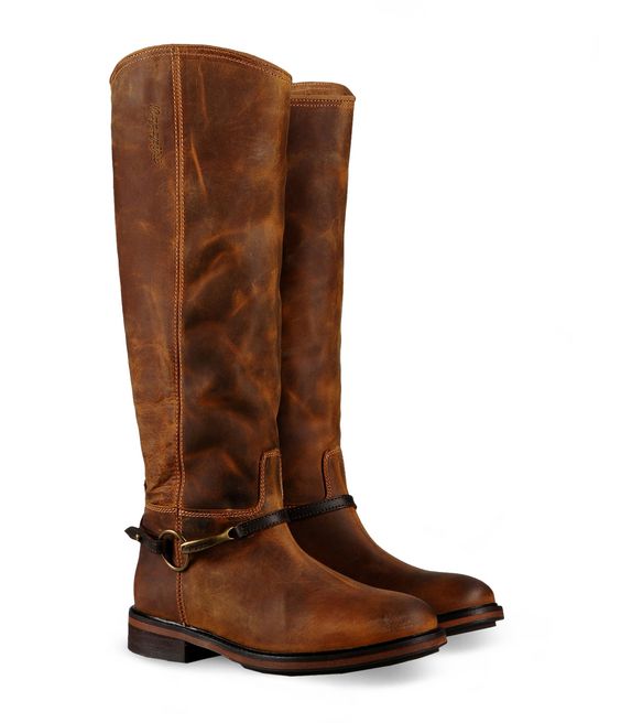 napapijri chaussure femme