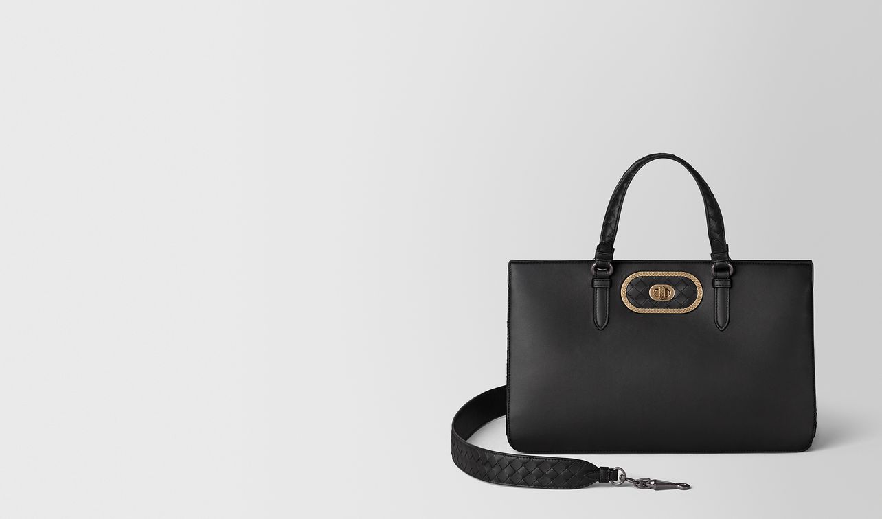 borsa ellittica landing