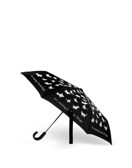 maxi umbrella