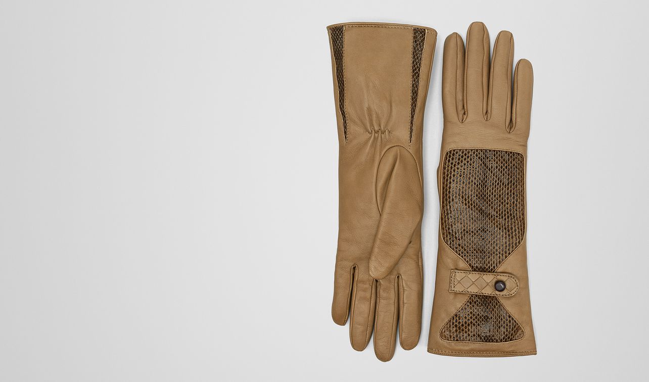 camel lamb ayers glove landing