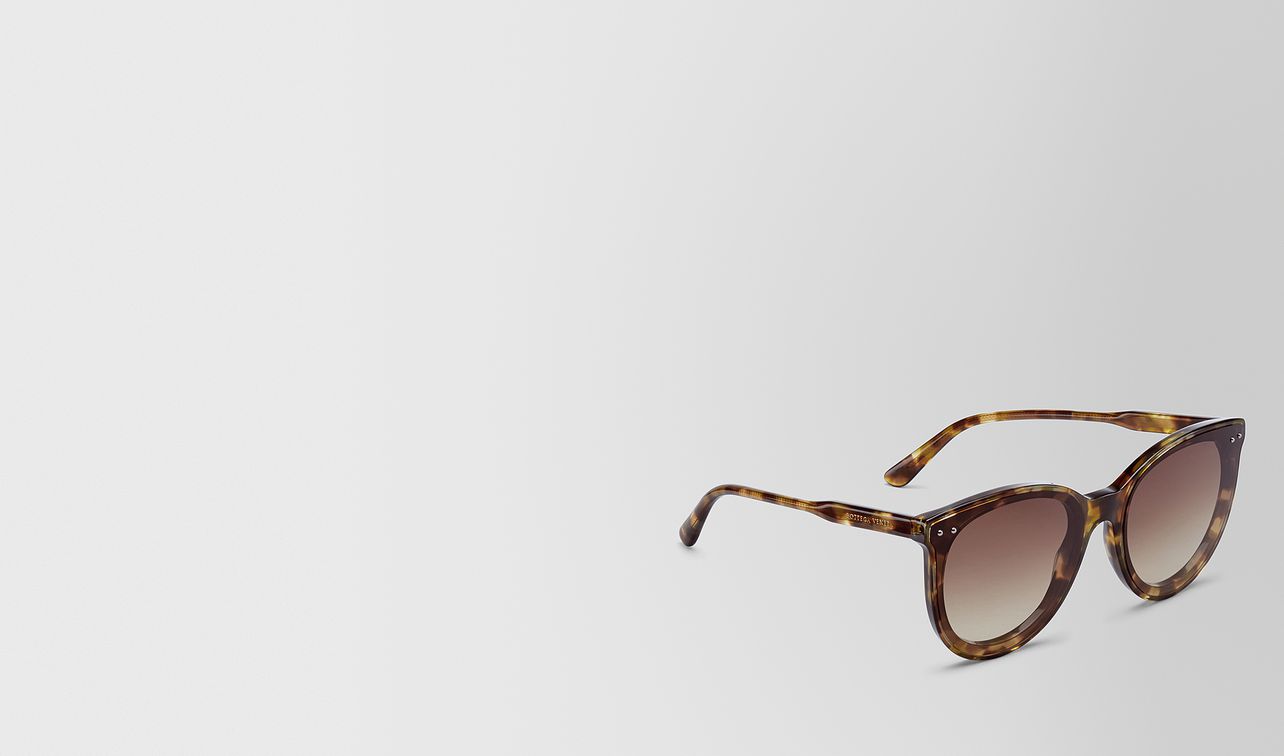 avana brown acetate sunglasses landing