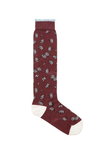 Marni Silk socks with burgundy floral design Woman