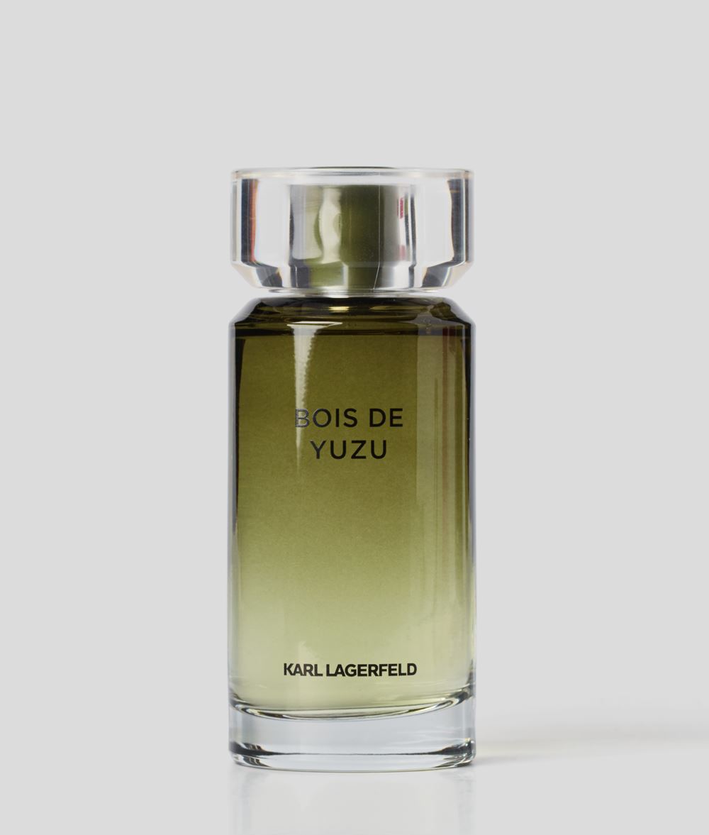 Lagerfeld bois de vetiver. Karl Lagerfeld bois de Yuzu 100. Karl Lagerfeld bois de Yuzu EDT (100 мл тестер). Bois de Yuzu духи.